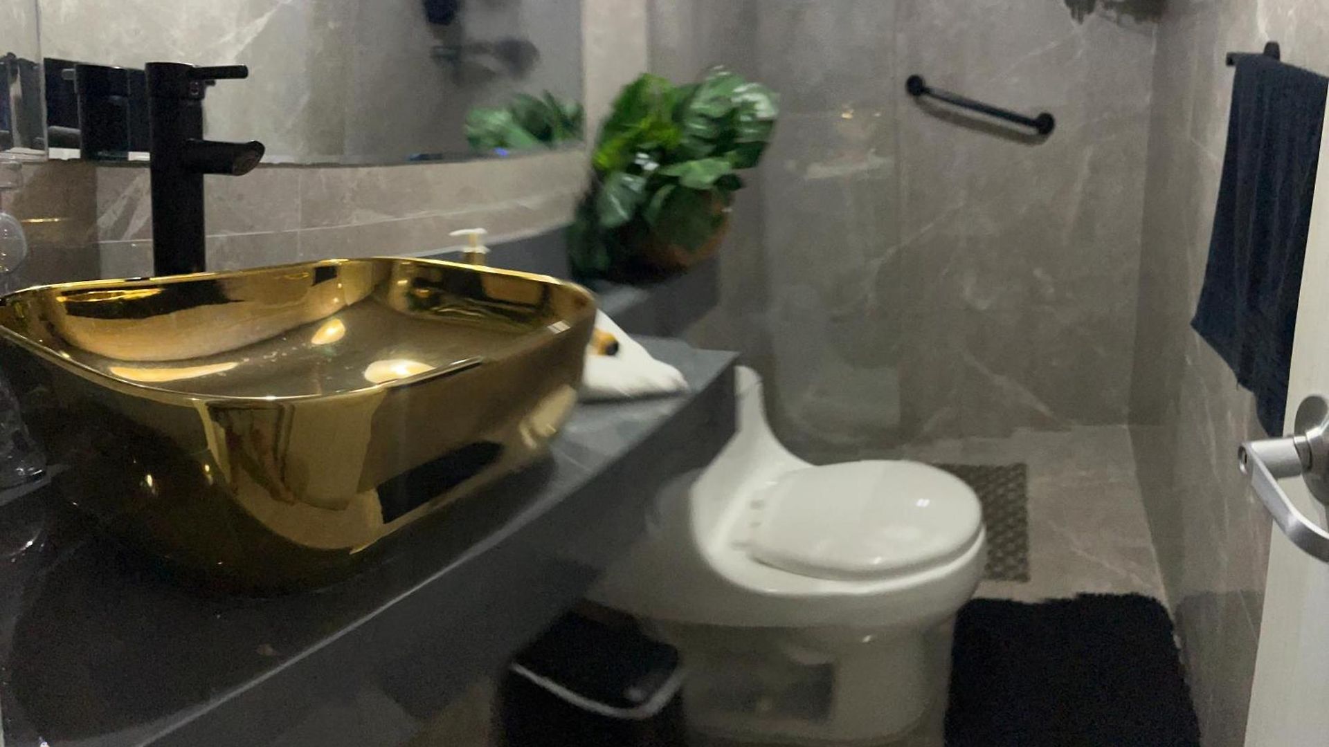 Apartamento Vacacional En Bocagrande *